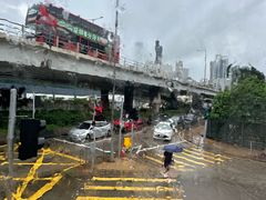 -九龙公园