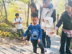 -帽儿山国家森林公园