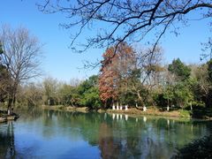 -西溪国家湿地公园