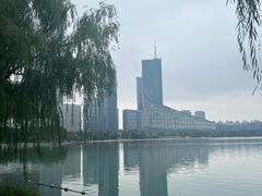 -天鹅湖体育公园