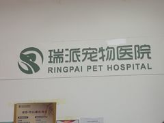 -瑞派天宁宠物医院·猫科·异宠中心