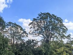 -虞山城墙