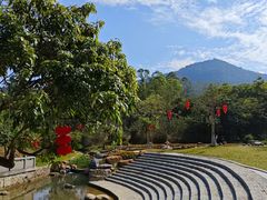 -黄埔油麻山森林公园