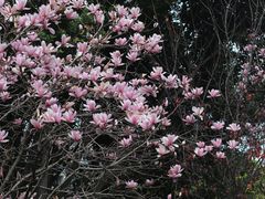 -乌山风景区