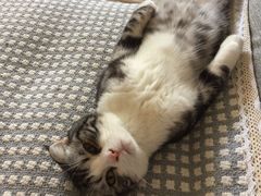 -惠康宠物医院(华能路店)