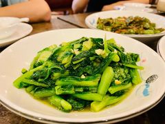 油麦菜-九华山聚龙大酒店