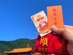 -深圳市中科院仙湖植物园