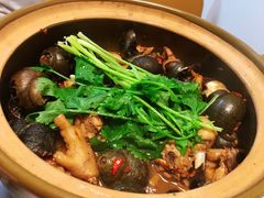 招牌必点-田螺鸡煲-食爺炭炉鸡煲·烧烤