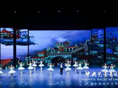-中央芭蕾舞团·中芭艺蕾(酒仙桥明星校区)