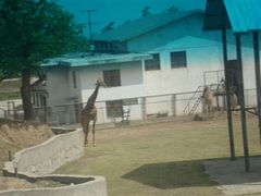 android_upload_pic-西安秦岭野生动物园