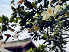 -峨眉山报国寺