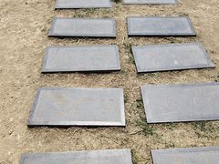 -野鸭湖国家湿地公园