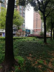 -黑奥秘脱发白发中心