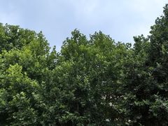-半坡国际艺术区