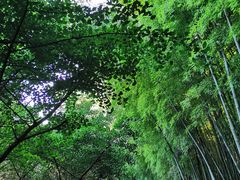 -九龙潭景区