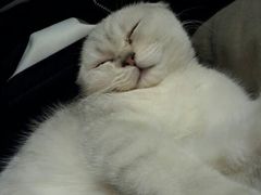 android_upload_pic-MIKAKU(万达广场上海宝山店)