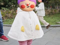 -成都南湖公园