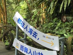 -呀诺达热带雨林