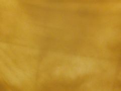 iphone_upload_pic-深圳东部华侨城茵特拉根酒店