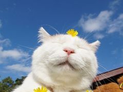 -CGV影城(源著IMAX店)