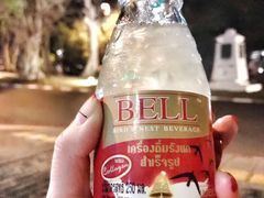 -清迈夜间动物园