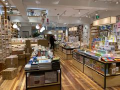 -猫的天空之城概念书店(束河店)