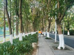 -升仙湖公园