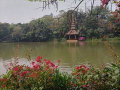 -曼听御花园