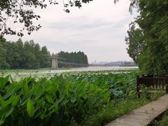 -东湖落雁景区