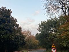 -宝界山林公园