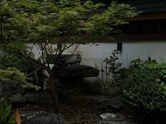 -久宴·天目湖大鱼头(恐龙园店)