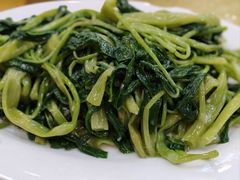 -鸿达渔港