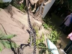 -自贡恐龙博物馆