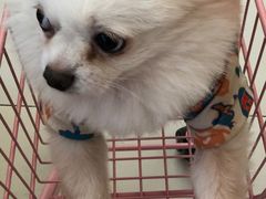 -怪兽屋·羊驼·猫咖·狗咖(俊华广场店)