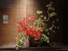 -宽坐·友谊宾馆店