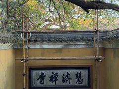 -普陀山慧济禅寺