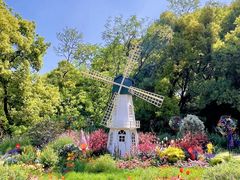 -上海共青森林公园