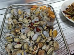 辣炒花蛤-北戴河庆山饭店·海鲜砂锅粥(北戴河黑石路店)