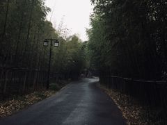 -苏州环秀晓筑养生度假村