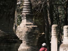-潭柘寺景区