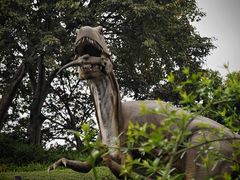 -自贡恐龙博物馆