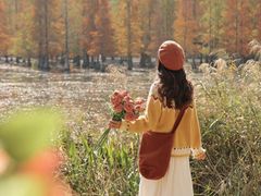 -白鹭湾湿地公园