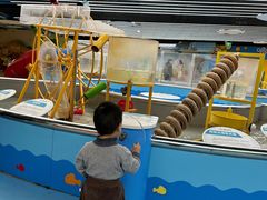 -苏州青少年科技馆