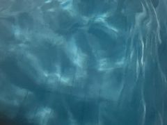 -重庆市奥林匹克体育中心-游泳跳水馆