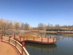 -东郊湿地公园