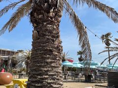 -Cafe Aewol Monsant
