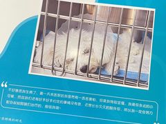 -美联众合动物医院·24h转诊中心