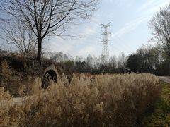 -桤木河湿地公园