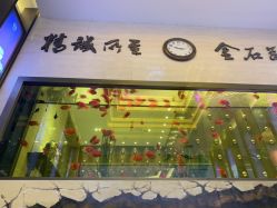 -中国黄金(北京旗舰店)