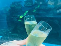 -海棠湾洲际-涛·海底餐厅·美人鱼·自助餐·海底隧道